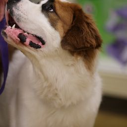 photograph by PeterW